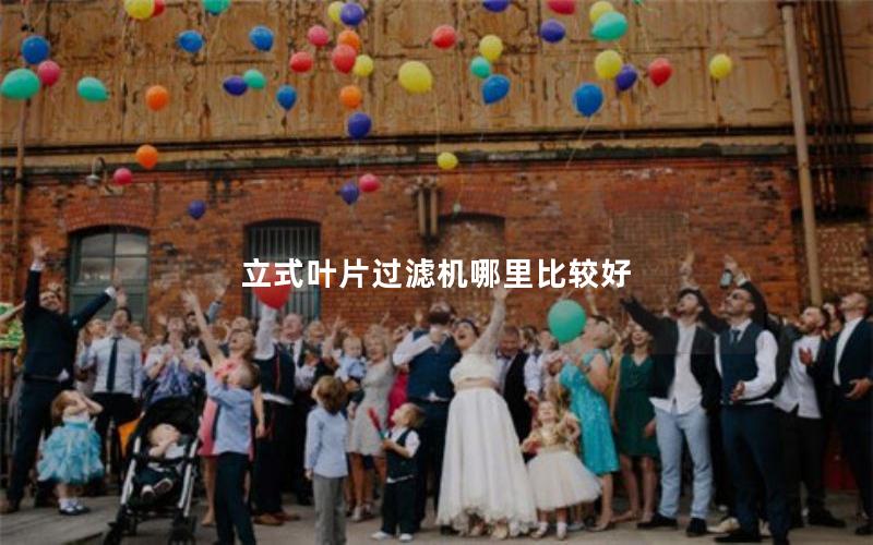 立式叶片过滤机哪里比较好