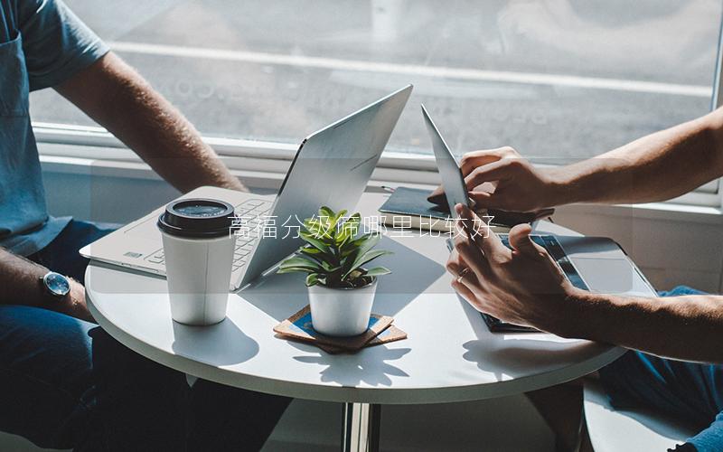 高福分级筛哪里比较好