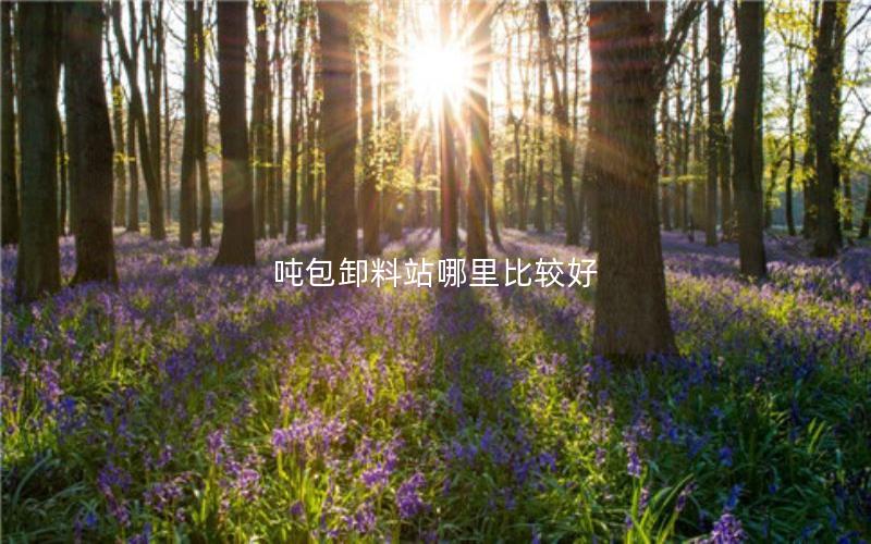 吨包卸料站哪里比较好 吨包卸料站哪里比较好