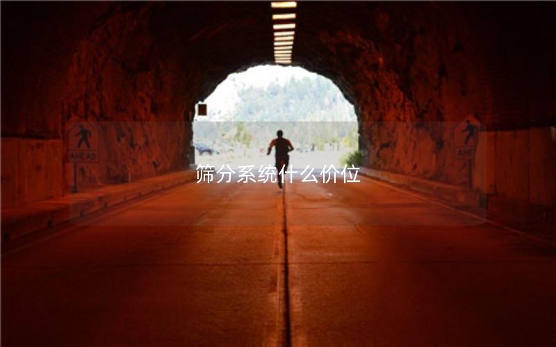 筛分系统什么价位