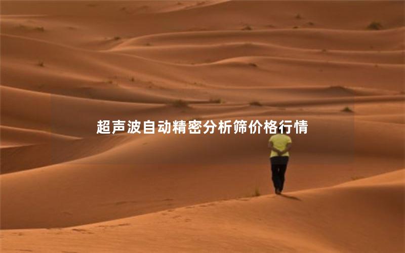 超声波自动精密分析筛价格行情