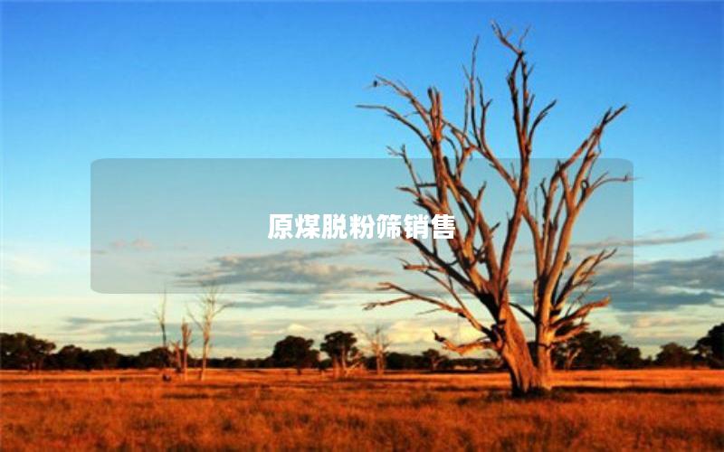 原煤脱粉筛销售 原煤脱粉筛销售