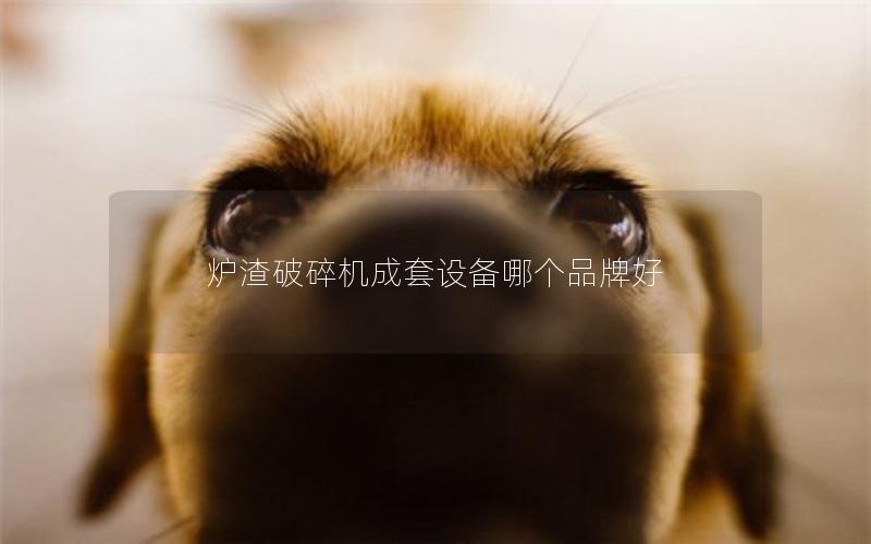 炉渣破碎机成套设备哪个品牌好
