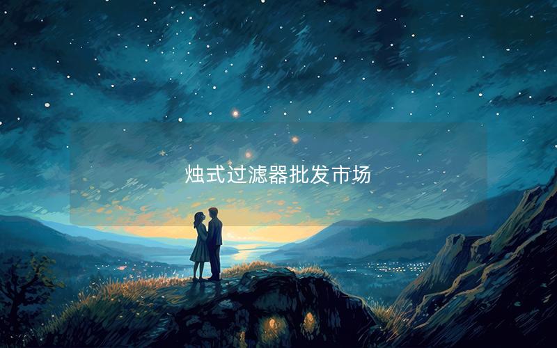 烛式过滤器批发市场 烛式过滤器批发市场