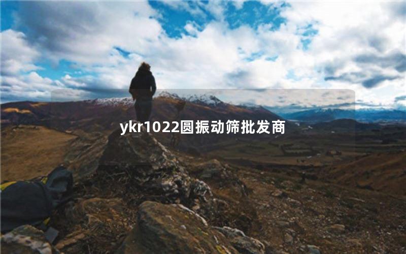 ykr1022圆振动筛批发商