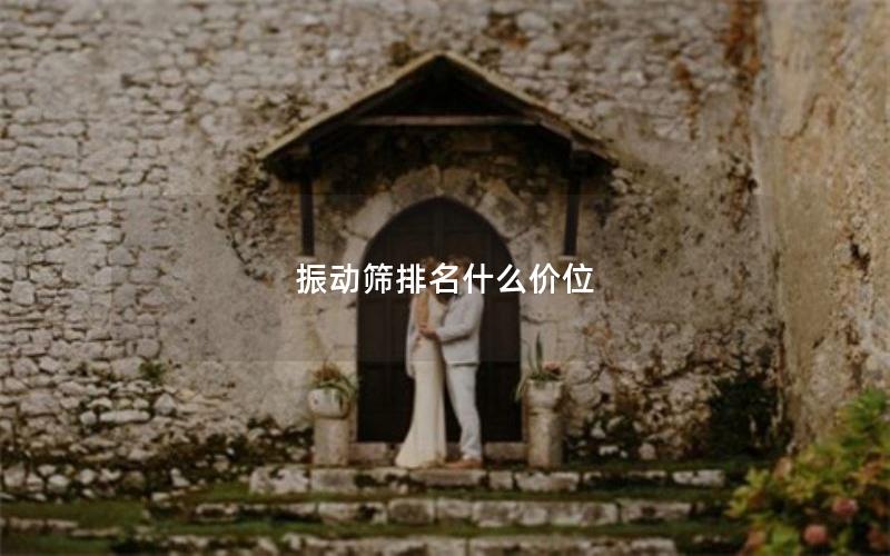 振动筛排名什么价位