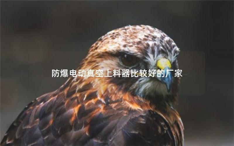 防爆电动真空上料器比较好的厂家