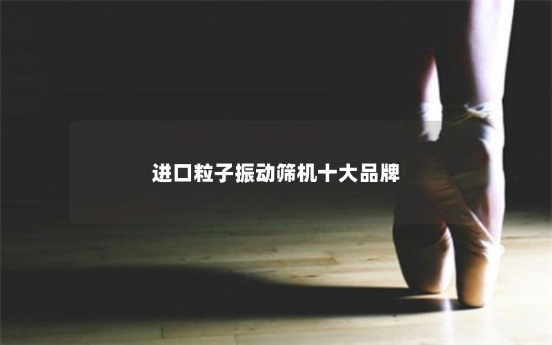 进口粒子振动筛机十大品牌