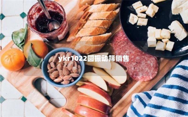 ykr1022圆振动筛销售