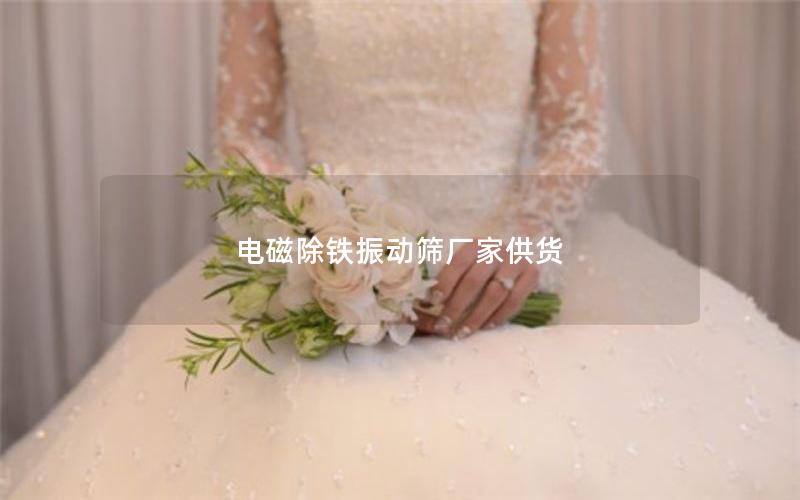 电磁除铁振动筛厂家供货