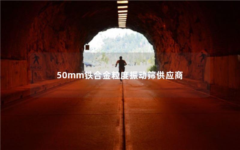 50mm铁合金粒度振动筛供应商