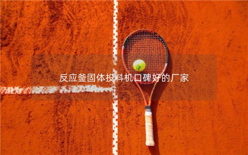 反应釜固体投料机口碑好的厂家