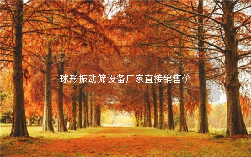 球形振动筛设备厂家直接销售价 球形振动筛设备厂家直接销售价
