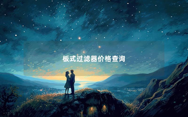 板式过滤器价格查询 板式过滤器价格查询