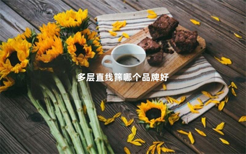 多层直线筛哪个品牌好