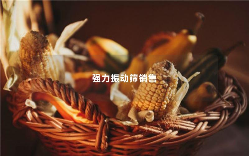 强力振动筛销售 强力振动筛销售