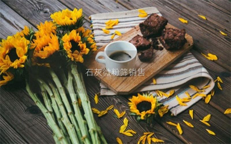 石灰微粉筛销售