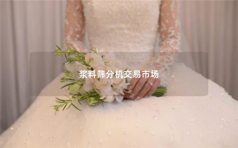 浆料筛分机交易市场