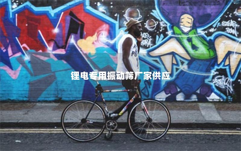 锂电专用振动筛厂家供应