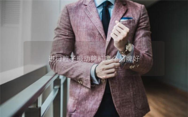 进口粒子振动筛机哪个品牌好