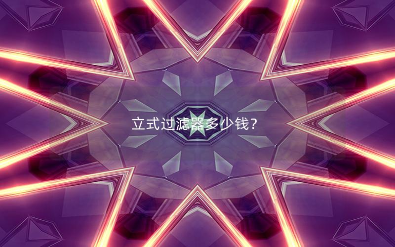 立式过滤器多少钱？