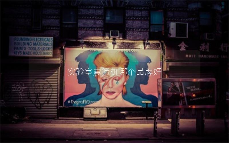 实验室震筛机哪个品牌好