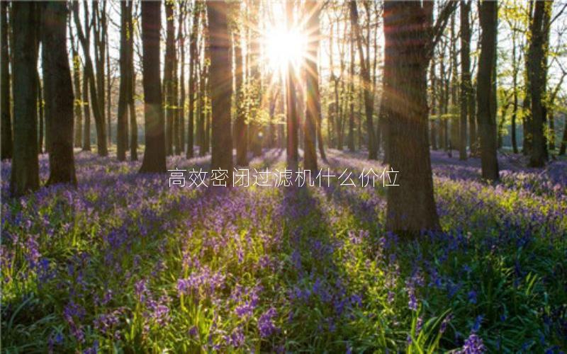 效率高密闭过滤机什么价位